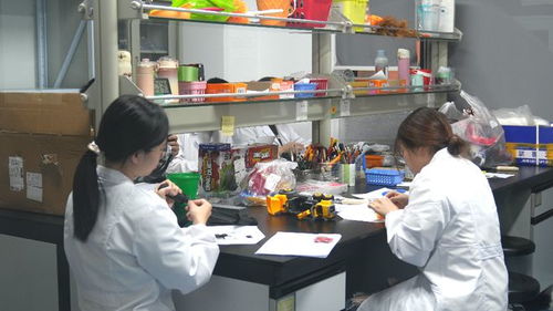 小玩具玩转大市场 玩具礼品之都活力无限，技术服务赋能产业升级