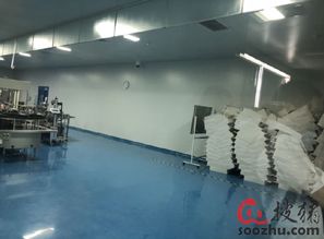 走进金海生物国际级工厂，领略世界级产品与技术服务的卓越魅力